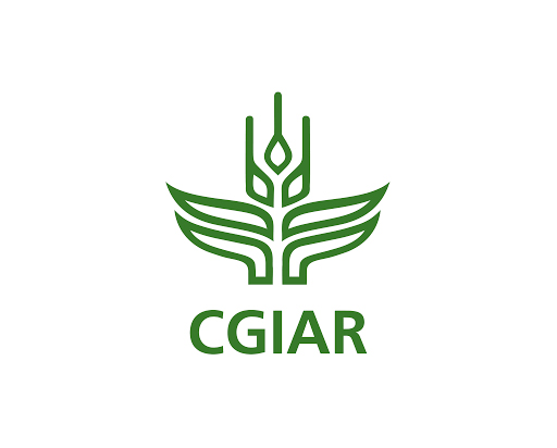 International Linkages