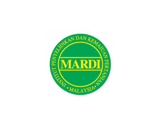 International Linkages