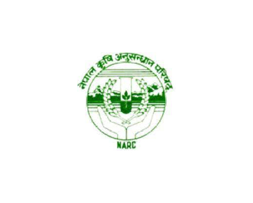 International Linkages